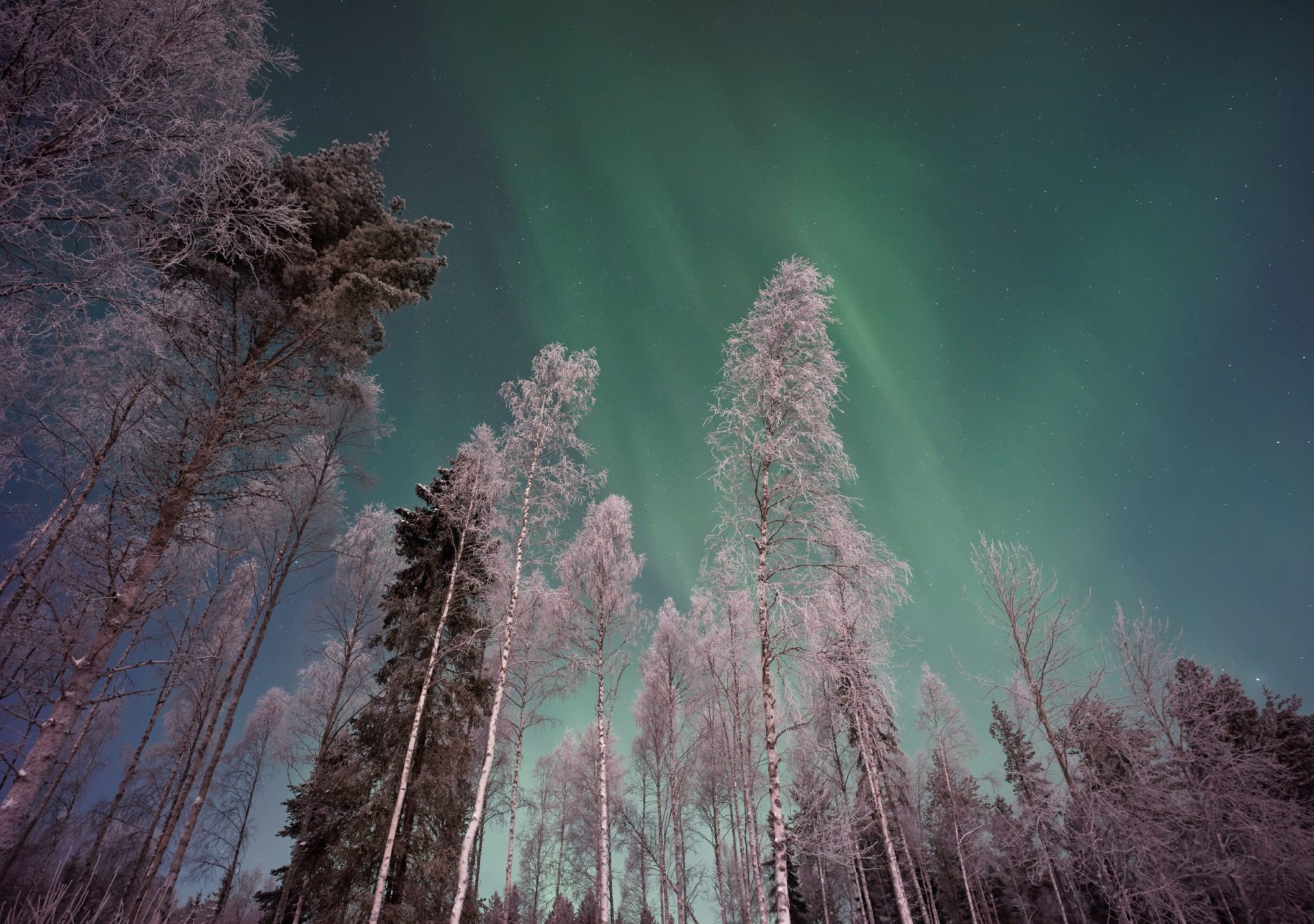 AA_Nordlichter_unsplash_kqqzwd