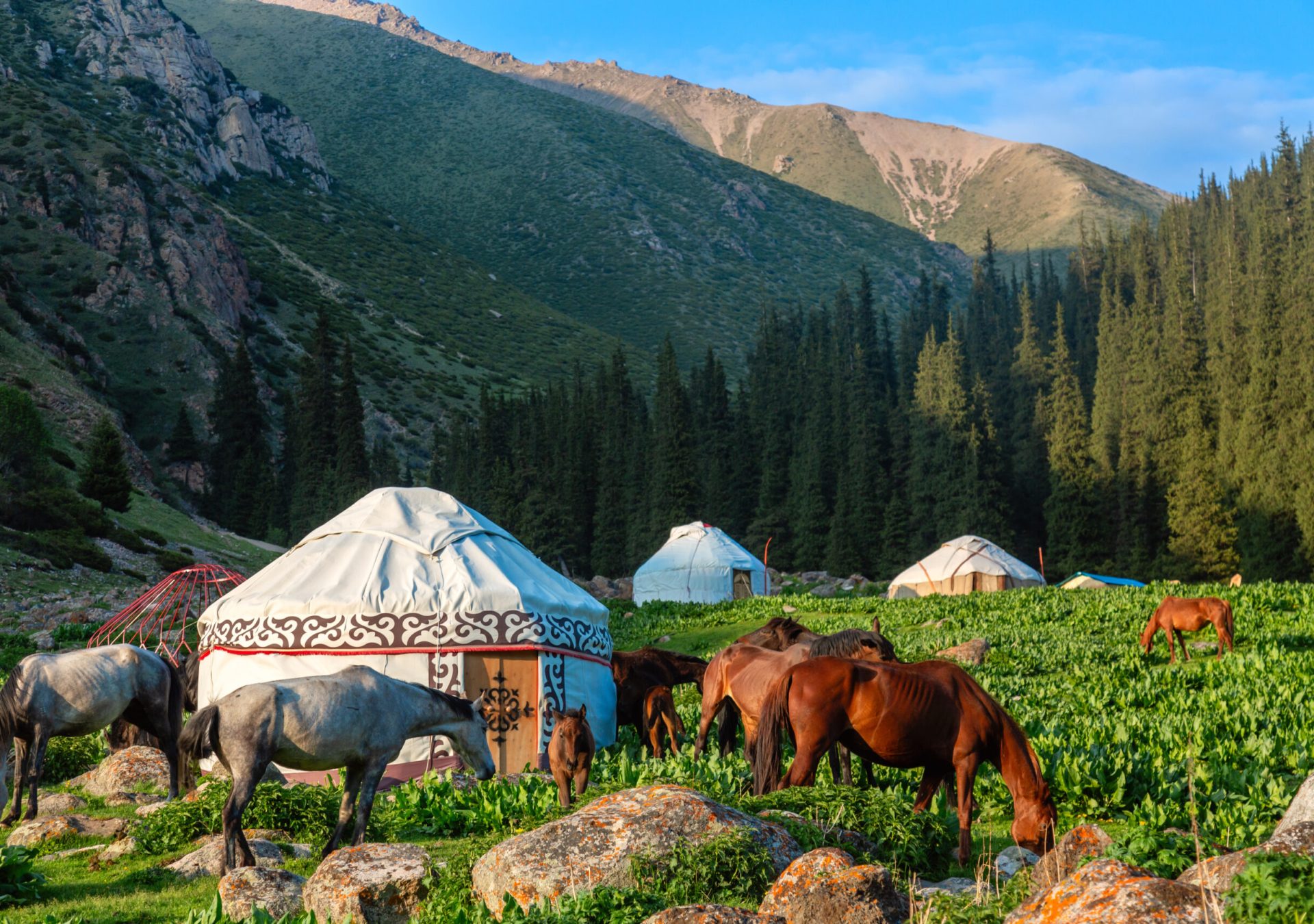 AltynArashanValley-Kirgistan-AdobeStock_1518295633_dnby6g