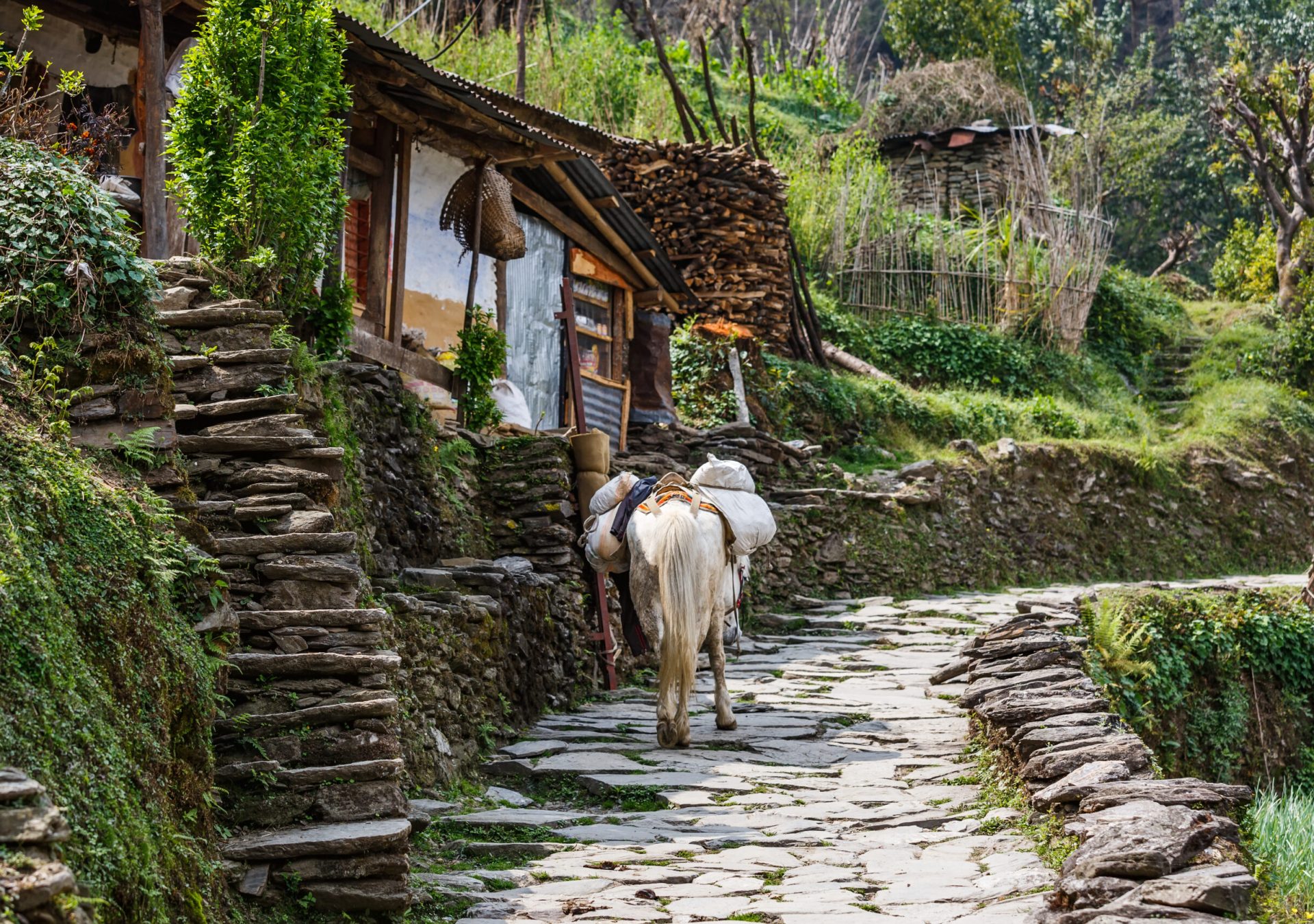 Landscape_nepalese_village_mountainside_enwto8