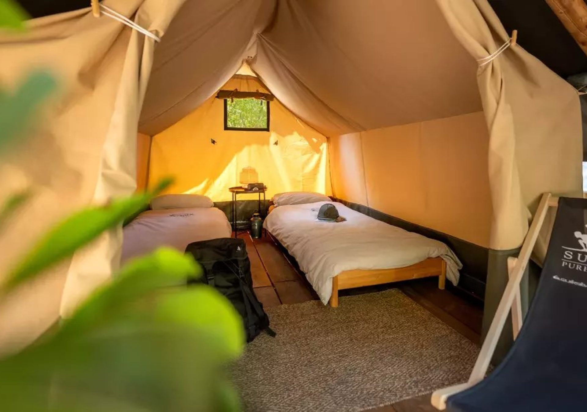 Pure_Surfcamp_Moliets_Premium_Zelt_zwei_Betten_h0gg3j Pure_Surfcamp_Moliets_Premium_Zelt_zwei_Betten_h0gg3j