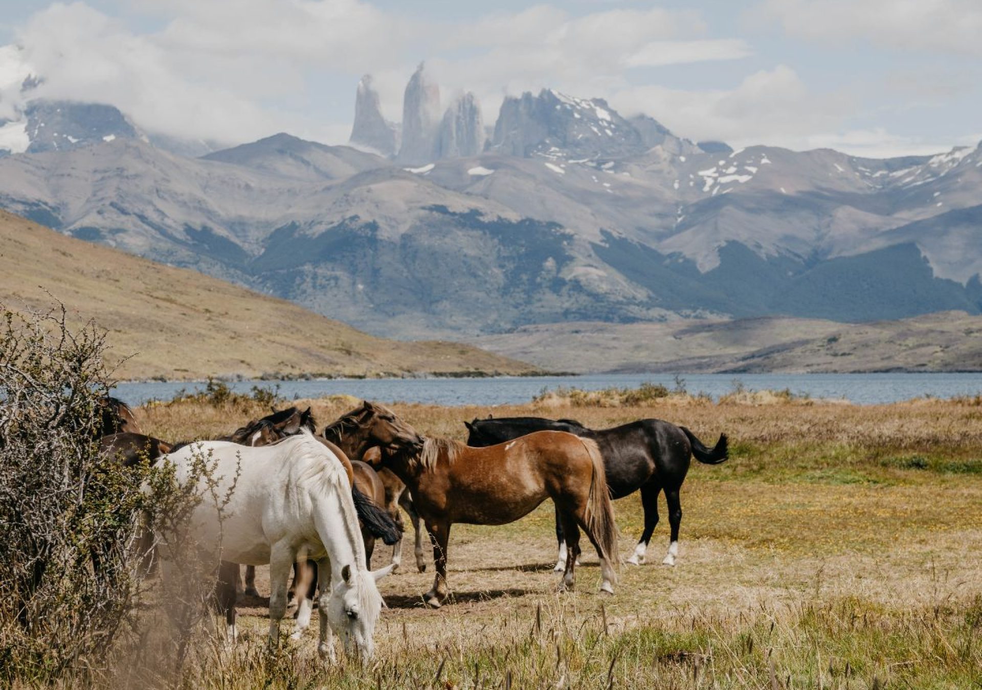 Torres_del_Paine_jejgtd