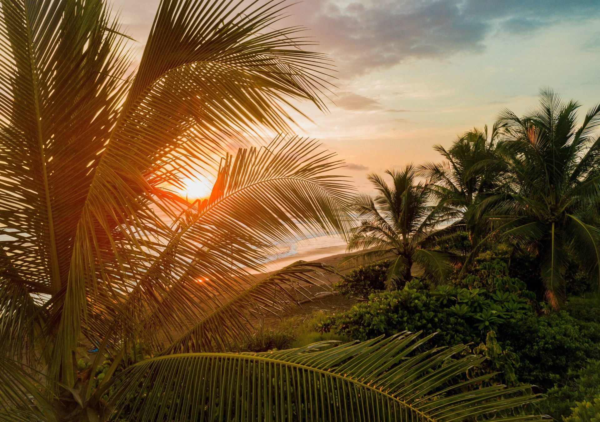 costa-rica-strand-beach-palmen-unsplash_vn3gzp