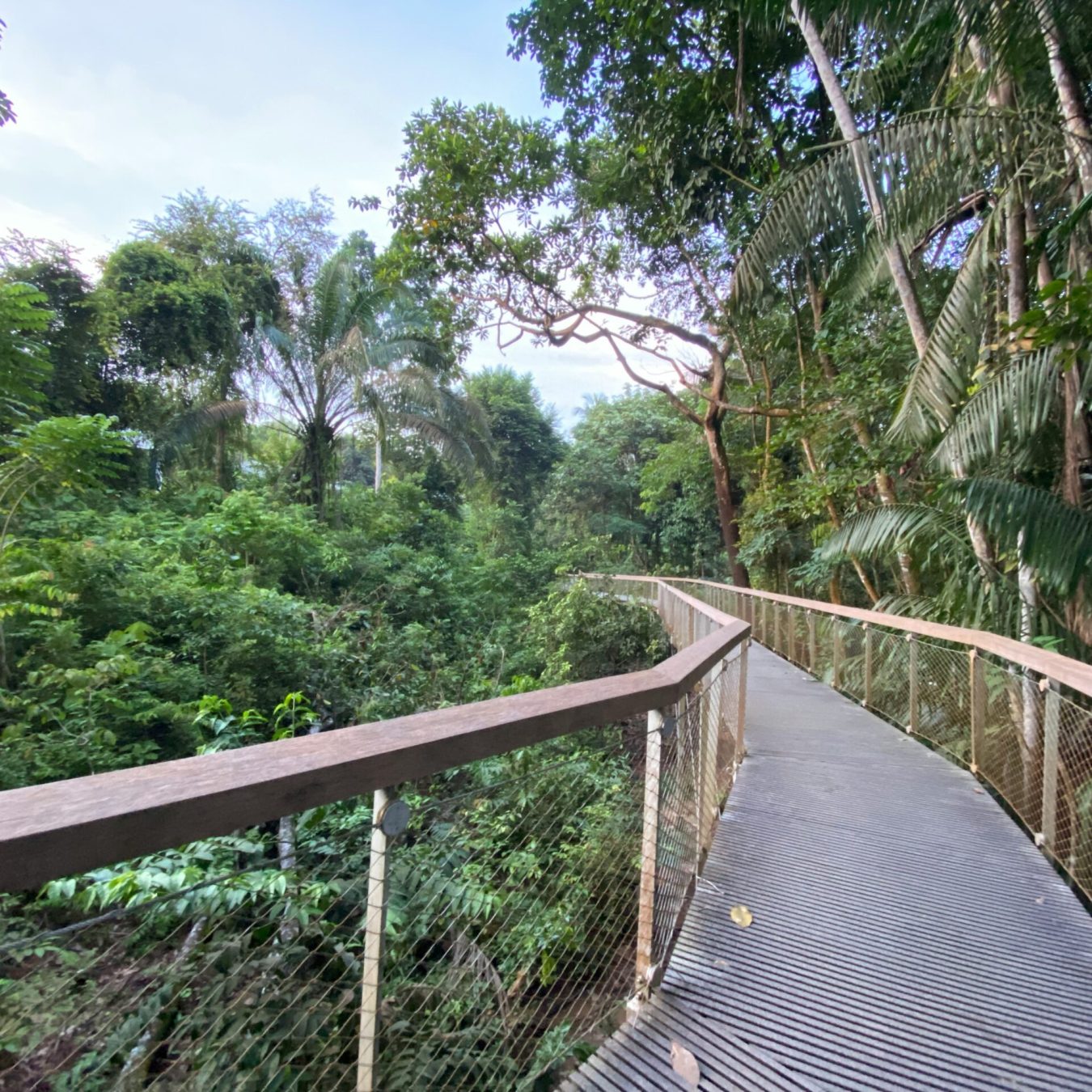 la_sabana_park_unsplash_e5puqb