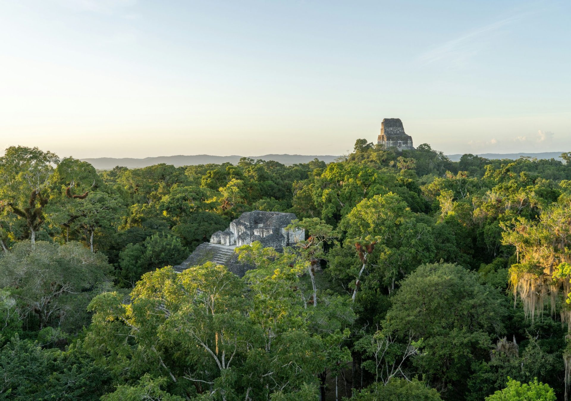 tikal-nationalpark-guatemala-pawel-wieladek-EEPqrLYe4T0-unsplash_ykvidc